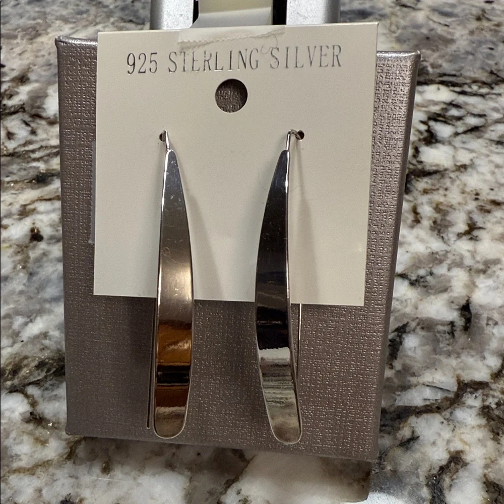 Chic Sterling Silver Earrings - Picture 3 of 7